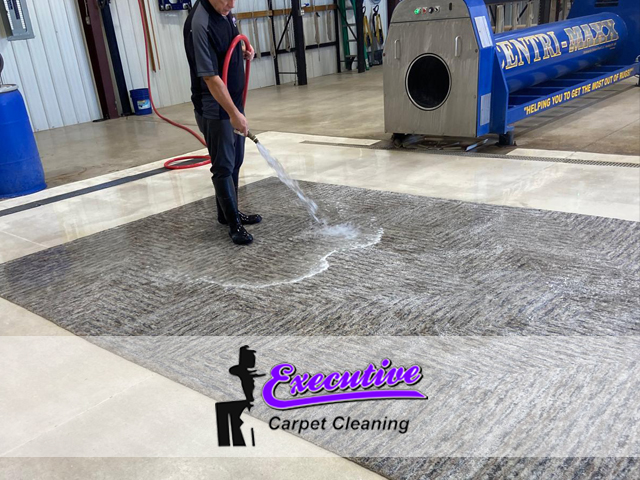Persian Carpet Cleaning