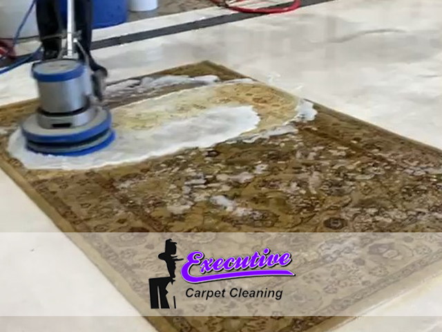 Wall-to-Wall Carpet Cleaning