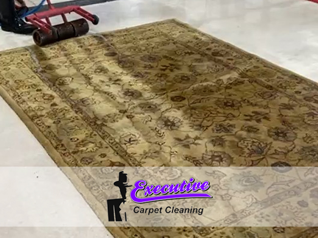 Area Carpet Cleaning
