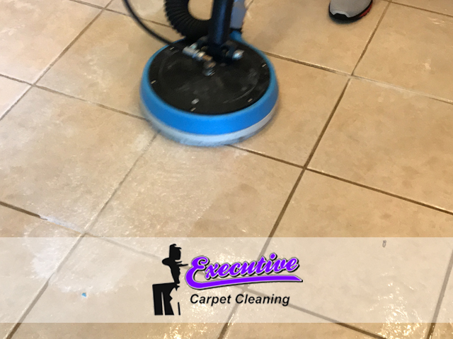 Pet Odor Removal