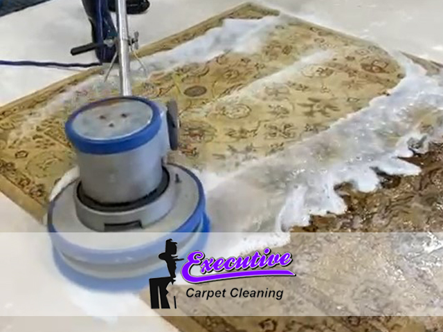 Carpet Pet Odor Removal
