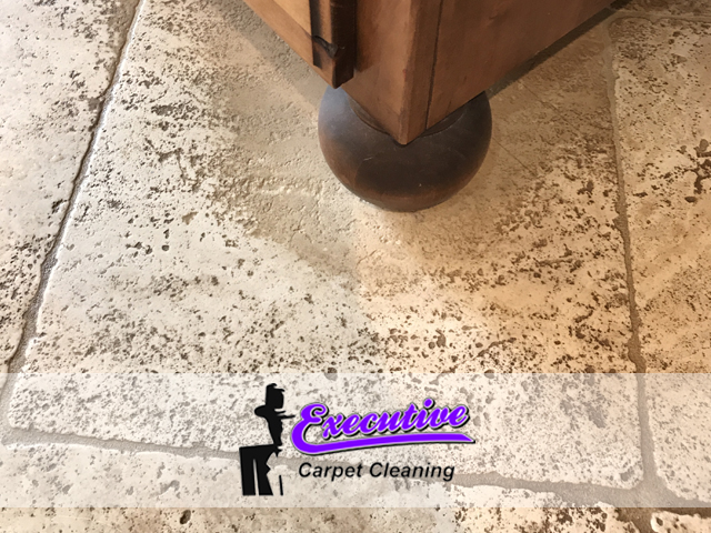 Antique Carpet Pet Odor Removal
